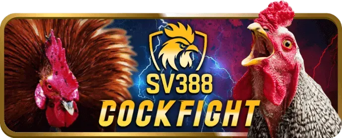 Cấp độ Bạc VIP